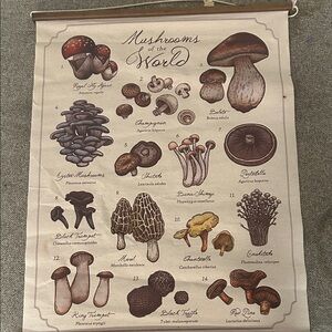 EARTHBOUND Mushroom Illustration Tapestry in Cream and Brown